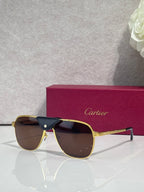 Sunglasses with gold frames and tinted lenses, sporty square silhouette