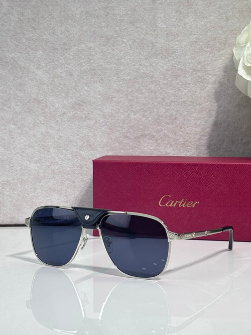 Sunglasses with dark frames and tinted lenses, side details and metal bridge