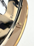 Gold-tone temple detail with decorative emblem and tinted lens edge