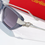 Dark sunglasses close-up with gold-tone emblem on temple