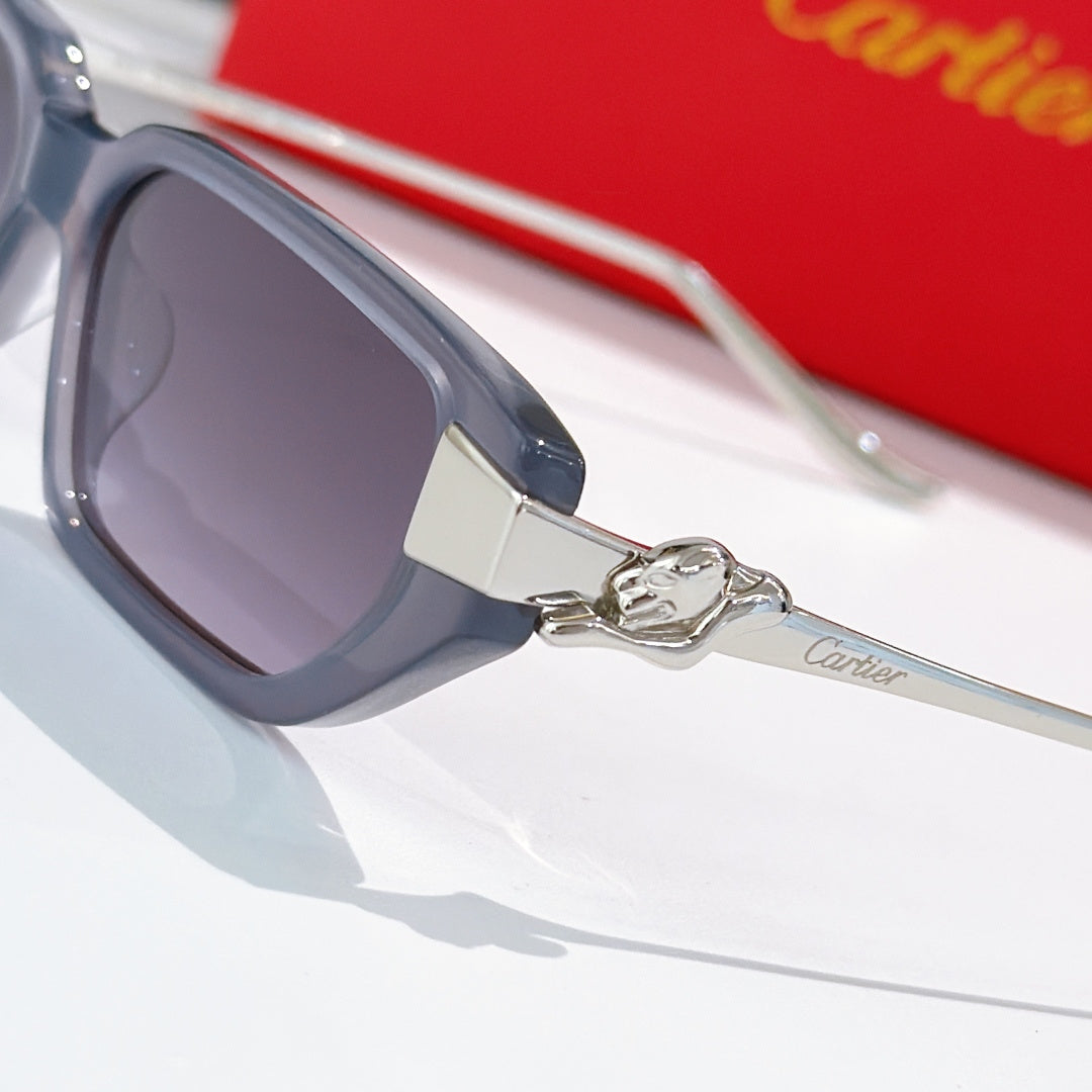Dark sunglasses close-up with gold-tone emblem on temple