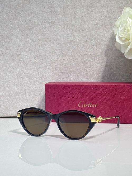 Cartier sunglasses with dark round frames, gold-tone accents, and tinted dark lenses