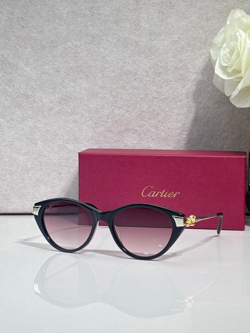 Cartier sunglasses front view with dark round frames, gold accents, and gradient tinted lenses