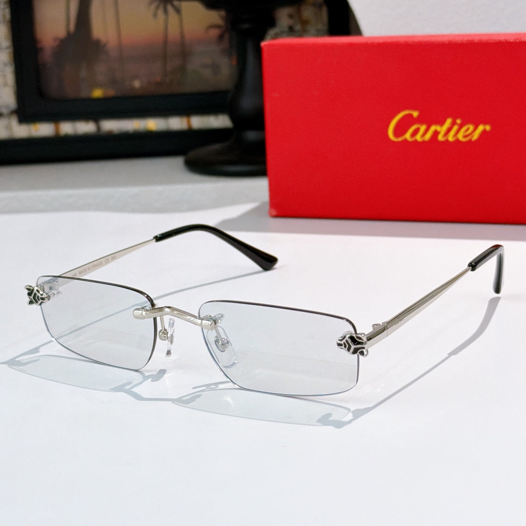 Silver frame glasses with clear lenses and black temple arms
