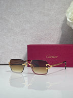 Cartier acetate eyeglasses with brown frame, dark lenses, and gold-tone hinges