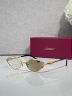 Cartier glasses with gold-tone frame, gray lenses, and blue temple detail.