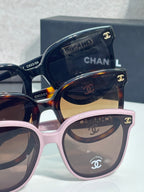 Chanel sunglasses with navy and pink frames, gold CHANEL text, and CC logo details.