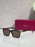 Black square sunglasses with dark lenses and gold-tone bridge detail