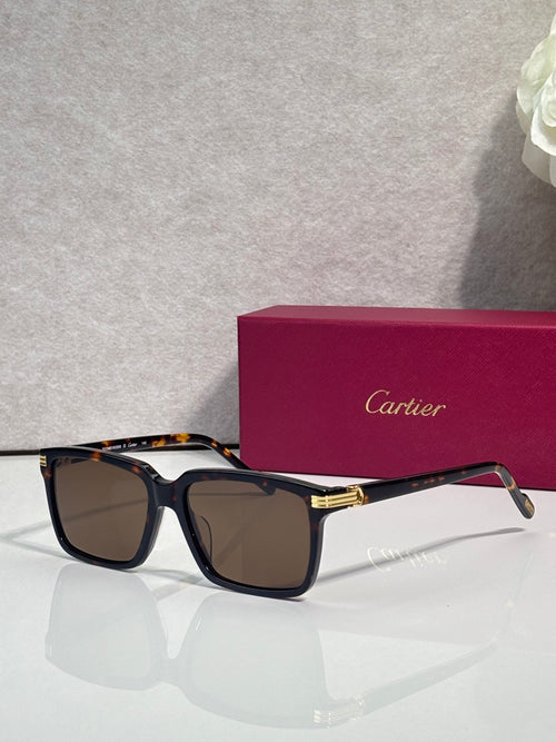 Black square sunglasses with dark lenses and gold-tone bridge detail