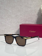 Sunglasses with dark frames, tinted lenses, and gold-trimmed bridge