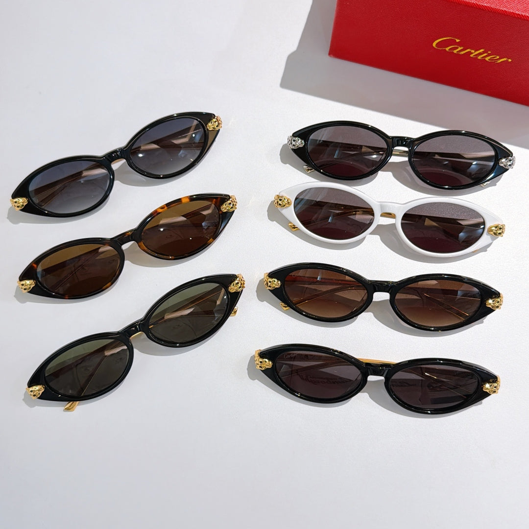 Assorted oval sunglasses in black, brown, and white with tinted lenses and gold accents