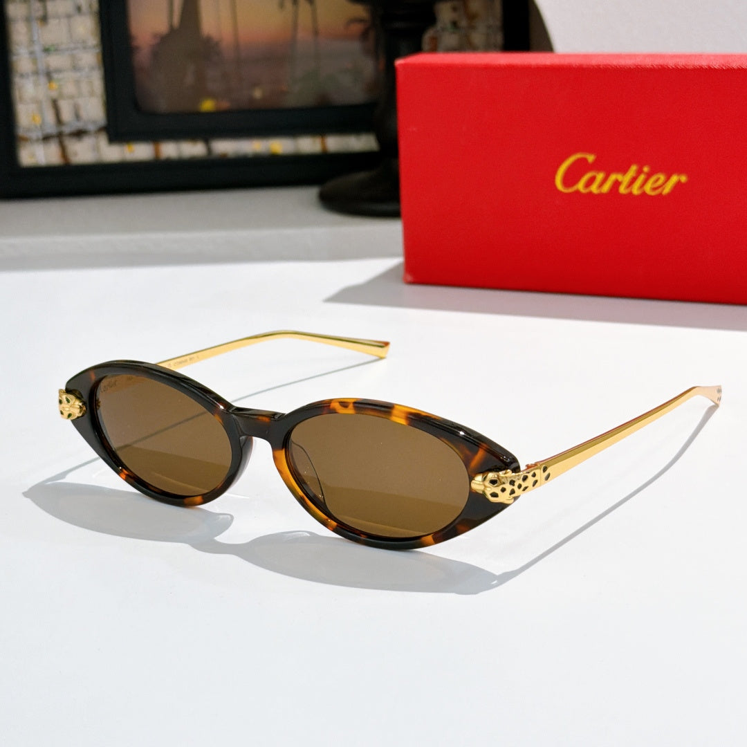 Brown tortoiseshell oval sunglasses with tinted lenses and gold-tone temple accents