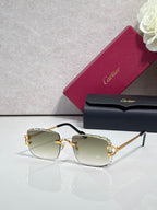 Cartier eyeglasses with gold metal frame, dark arms, and pale green-tinted lenses