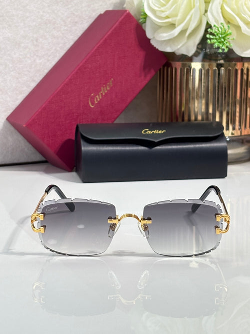 Gold-tone and dark eyeglasses with gray-tinted lenses, oval silhouette