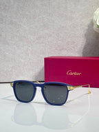Navy blue square eyeglasses with tinted lenses and gold metal accents