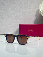 Blue eyeglasses with brown-tinted lenses, square frames, and gold-tone temple accents.