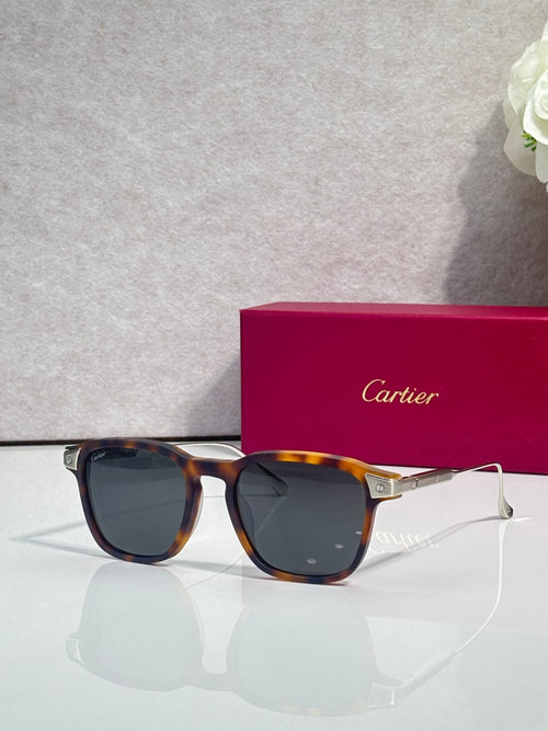 Dark tortoiseshell and blue eyeglasses with gray lenses and gold-tone temple details.