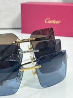Cartier sunglasses close-up of gold-tone temple bar and dark tinted lens