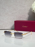 Cartier glasses with gold frame and dark gradient lenses, square silhouette