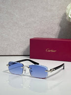 Cartier eyeglasses with blue-tinted lenses, silver metal frame, and gold accents.