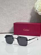 Cartier sunglasses with dark lenses and black frame accents, clear side arms.