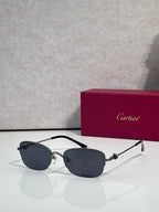 Cartier sunglasses with dark lenses and black-and-silver metal frame