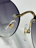 Gold eyeglasses detail: round clear lens and gold metal temple with hinge