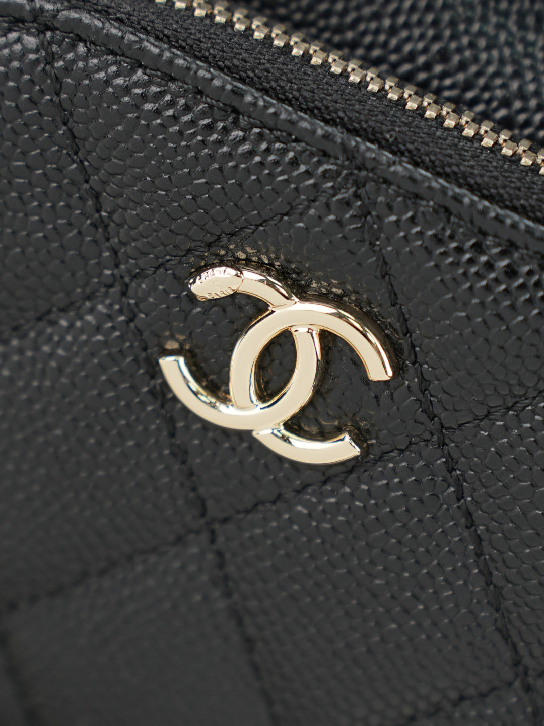 Chanel CC logo on dark textured leather with gold-tone emblem
