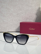 Cartier sunglasses with dark frame and gold-tone temple details