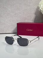 Cartier round-frame sunglasses with dark lenses and silver metal arms