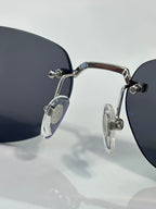 Cartier sunglasses close-up: dark lenses with silver temples and metal hinge hardware