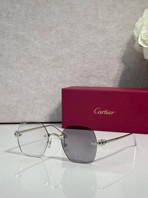 Silver metal-frame glasses with dark gray tinted lenses and thin temples