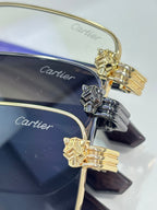 Cartier eyeglasses close-up of gold and silver temple details with engraved branding
