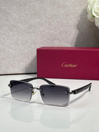 Cartier eyeglasses, dark frame with dark-gray gradient lenses and gold hinge detail