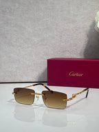Eyeglasses with brown-tinted lenses, gold-tone temples, dark frame front