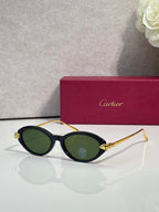 Oval glasses front view with dark lenses and gold-tone temples