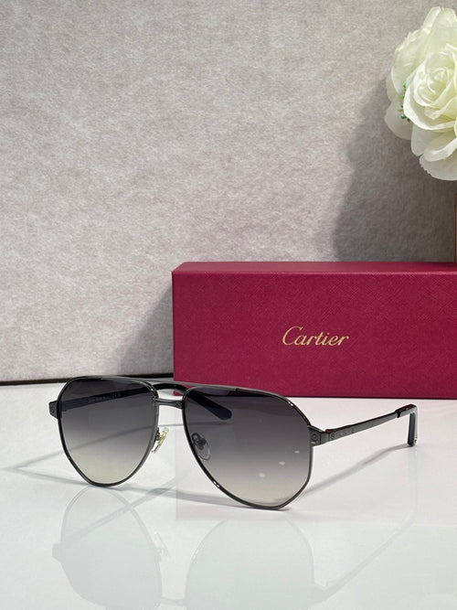 Metal sunglasses with dark lenses, black frame and silver arms