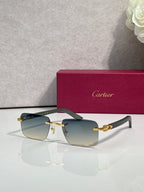Cartier glasses, dark frame with gold-tone accents and light tan gradient lenses
