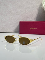 Gold eyeglasses with round dark-tinted lenses and metal bridge