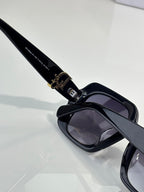 Black sunglasses arm and hinge with gold logo hardware and dark lens.