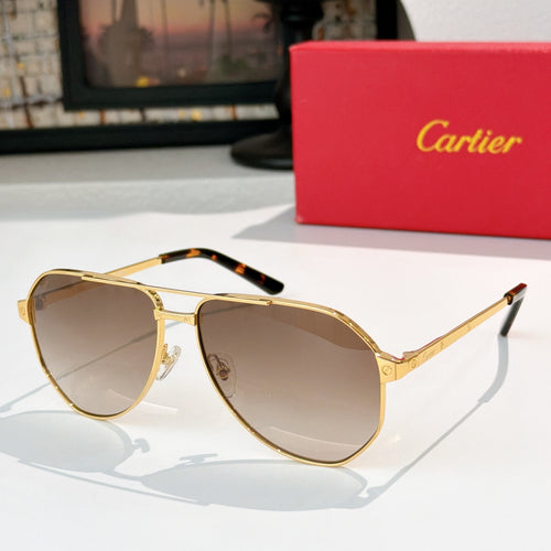 Aviator sunglasses with gold-tone frames, tortoise accents, and dark lenses