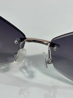 Sunglasses close-up: silver hinge and temples with dark lens sections
