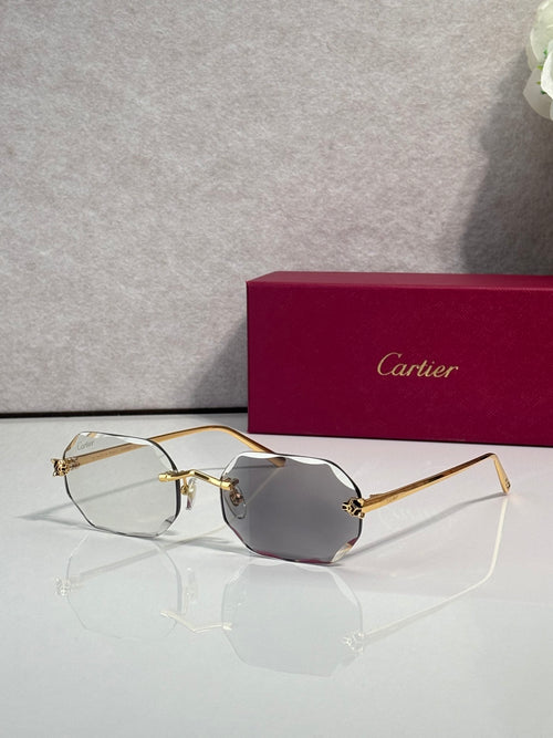 Gold-tone octagon eyeglasses with gray tint lenses