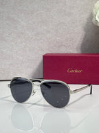 Cartier sunglasses with black round frames and dark gray tinted lenses