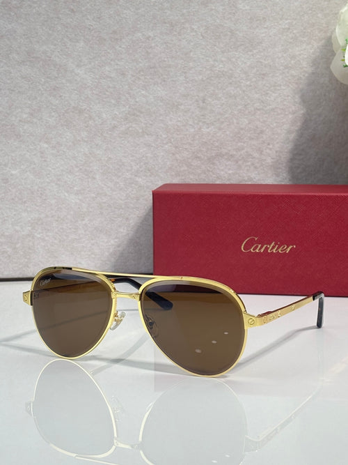 Sunglasses with gold round frames and dark brown gradient tinted lenses
