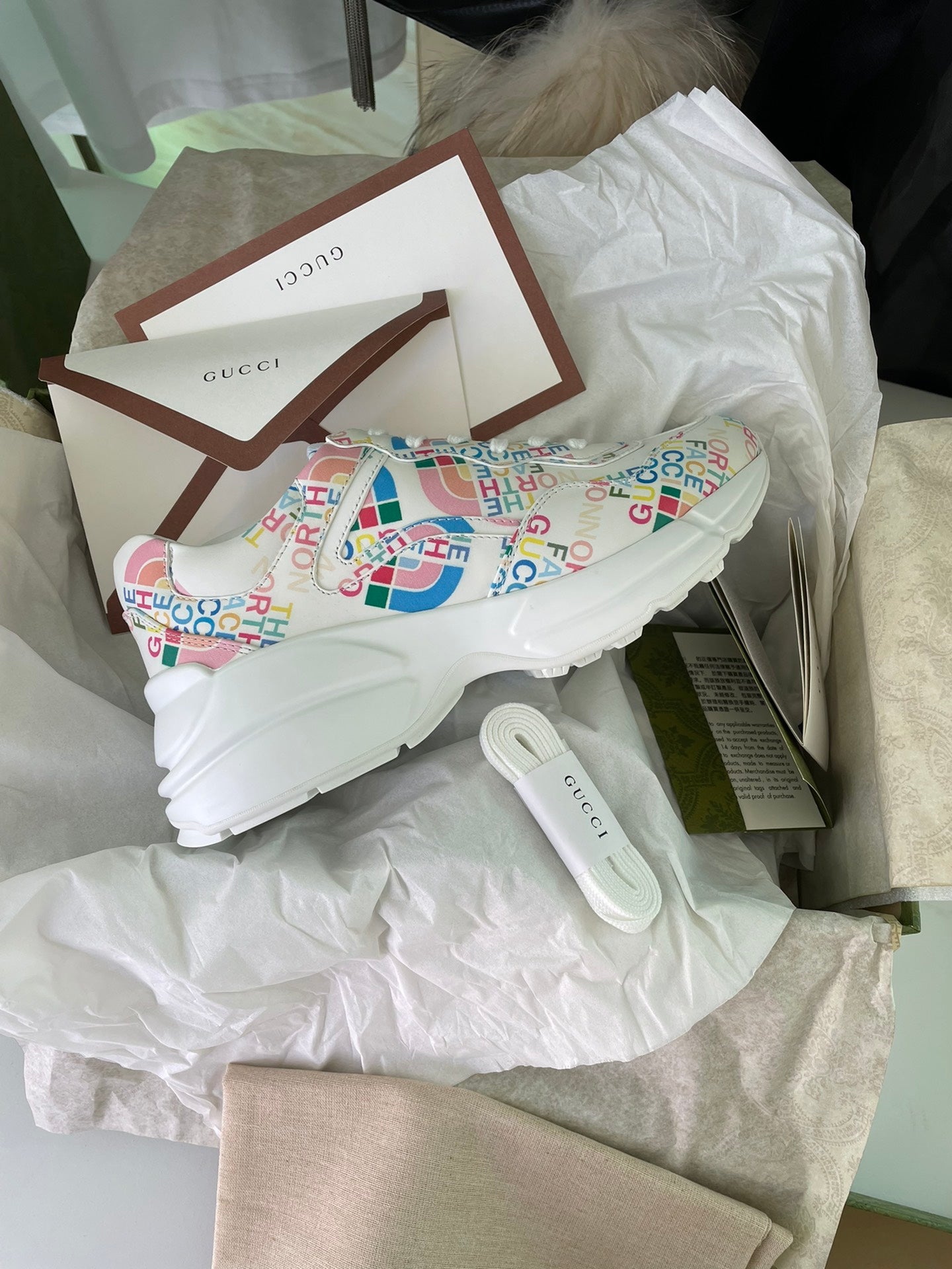 Gucci unisex sneakers, on box display with white logo-print upper and laces