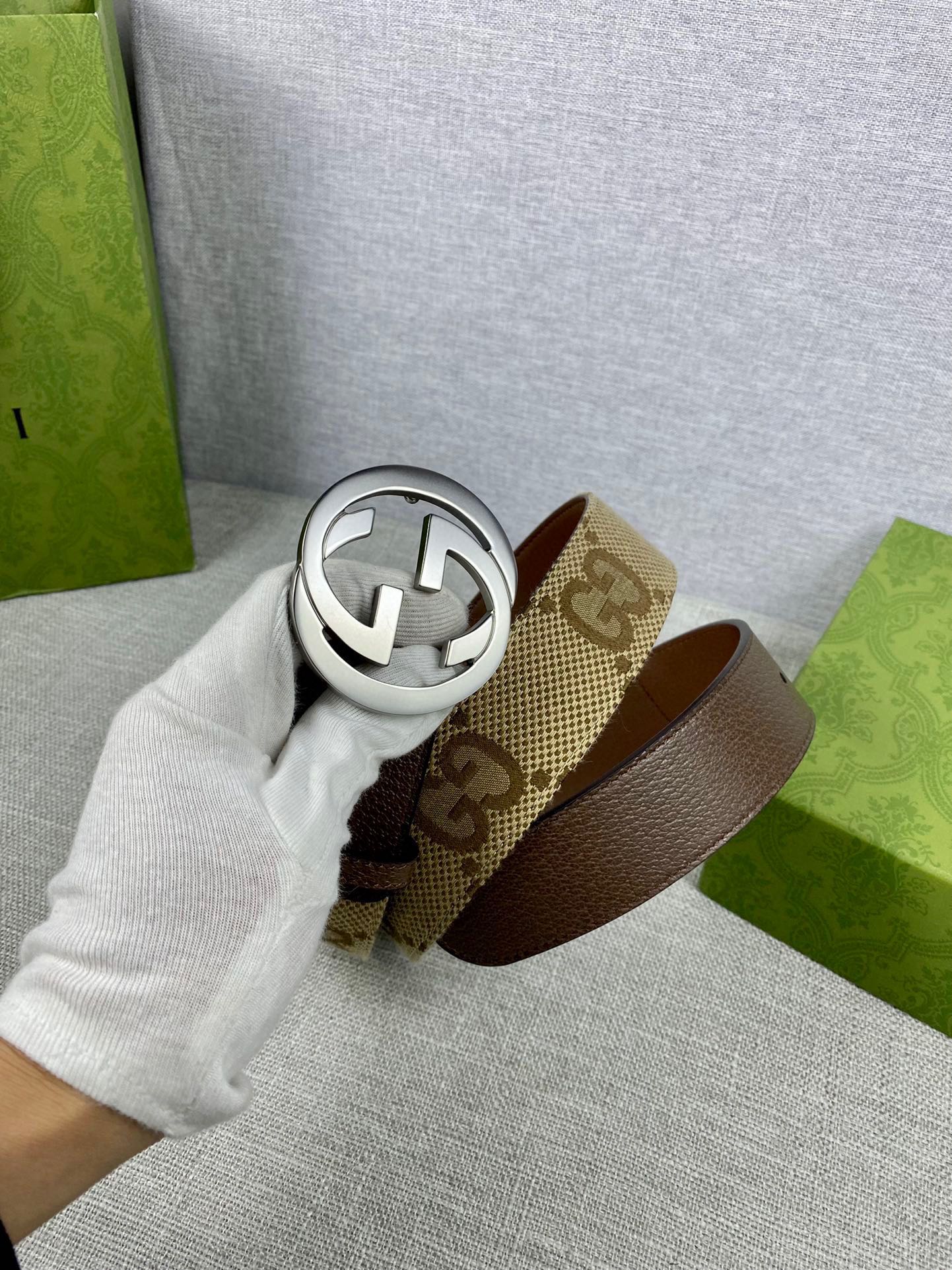 Brown leather belt with GG canvas strap and round silver G buckle