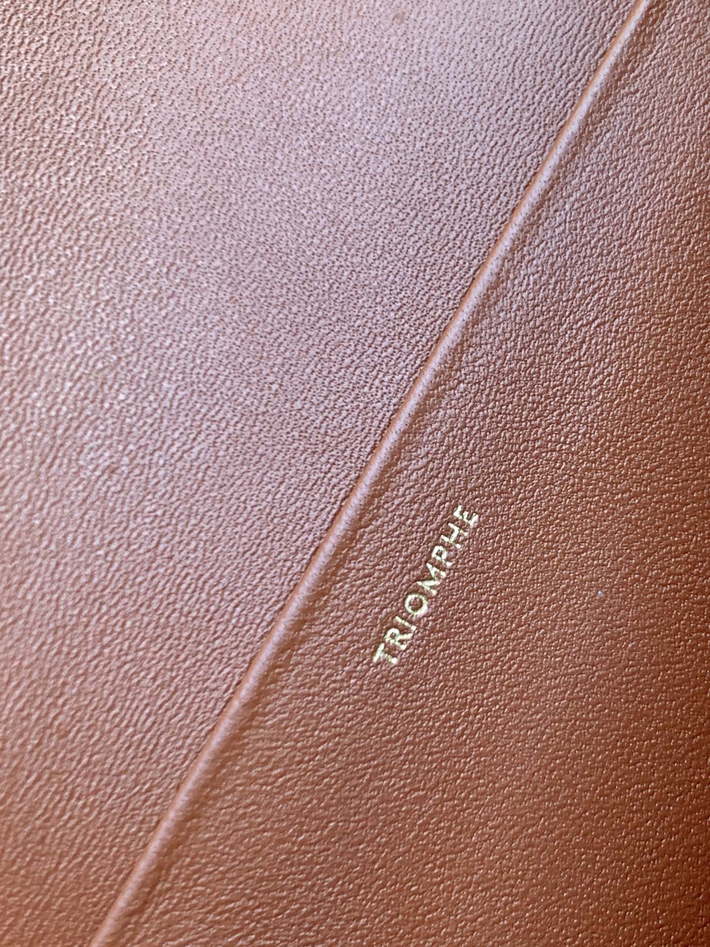 Celine bag leather close-up with embossed brand text along the seam in brown-orange