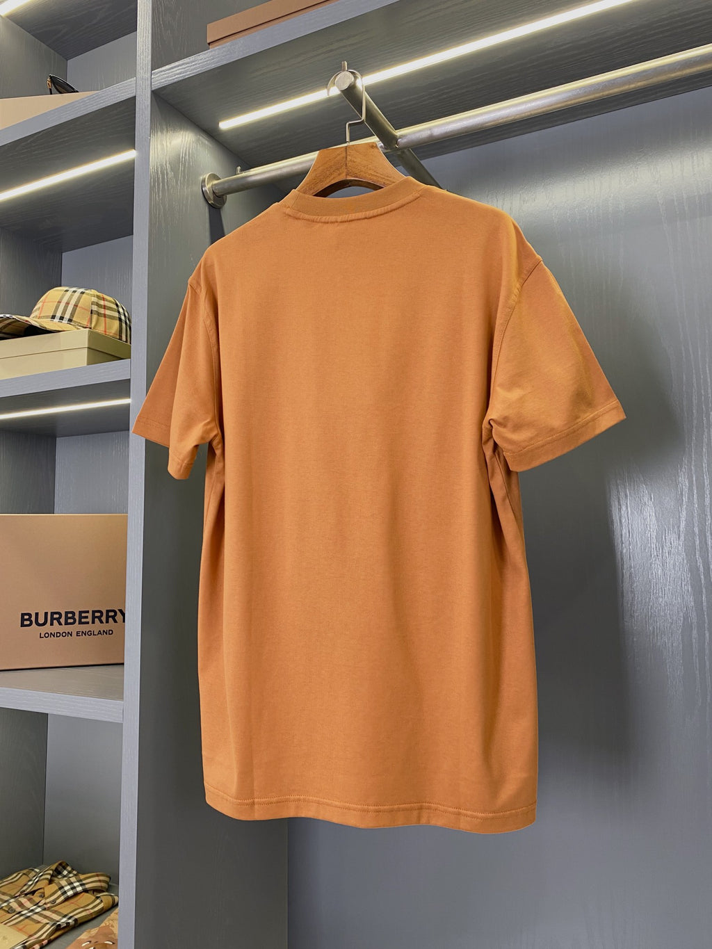 Burberry short-sleeve T-shirt in rust orange, plain back view