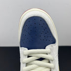 Front view of low-top sneaker showing navy perforated toe and white laces.